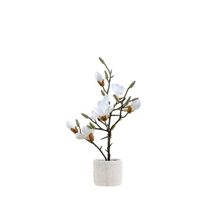 MAGNOLIA FLOWER IN CERAMIC POT TEAKWORLD MAURITIUS