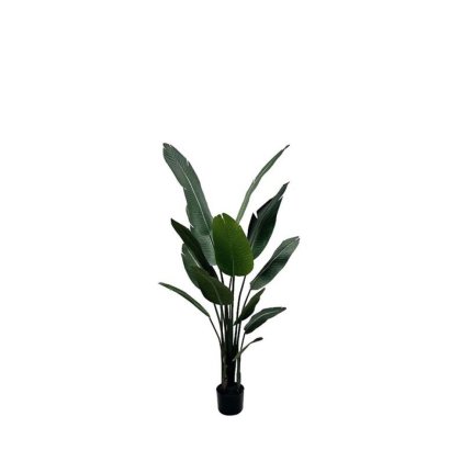 23236 - DECO ARTIFICIAL BANANA TREE SS240159 IN POT H210