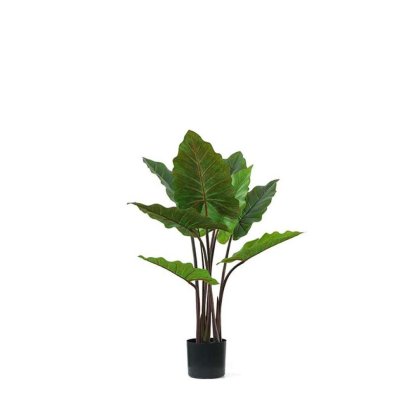 23238 - DECO ARTIFICIAL TARO TREE SS240155 IN POT H120 Teak World Mauritius