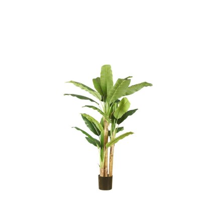 23241 - DECO ARTIFICIAL BANANA TREE SS240347 IN POT H150 Teak World Mauritius