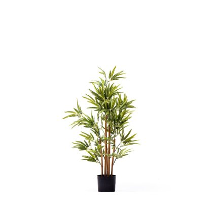 23242 - DECO ARTIFICIAL BAMBOO SS240368 IN POT H180Teak World Mauritius