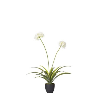 23252 - DECO ARTIFICIAL DRACAENA TREE IN POT H120 Teak World Mauritius