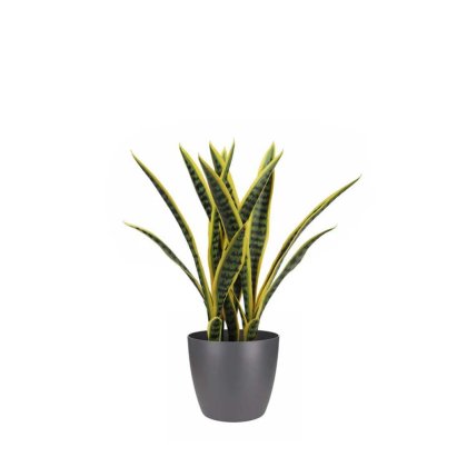 23276 - DECO ARTIFICIAL SNAKE PLANT XX0361 IN POT H24 Teak World Mauritius